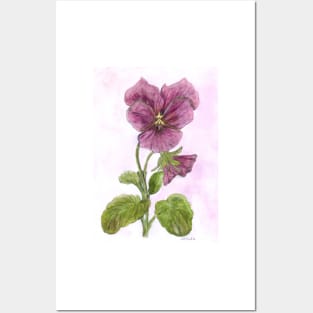 Pansy Posters and Art